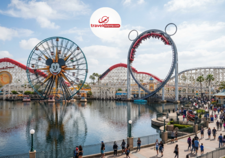 california adventure rides