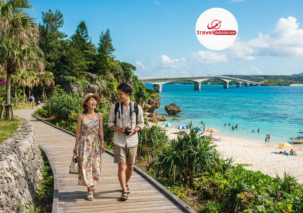 okinawa tourism news